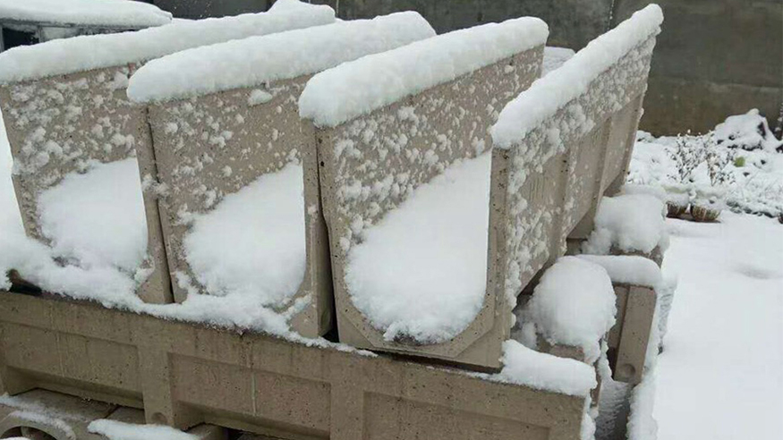 1552999038956668.jpg 6.jpg